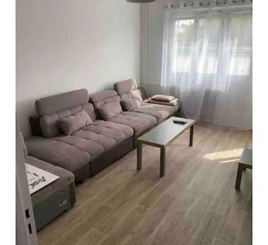 Chaleureux Et Spacieux Logement Sur Cernay