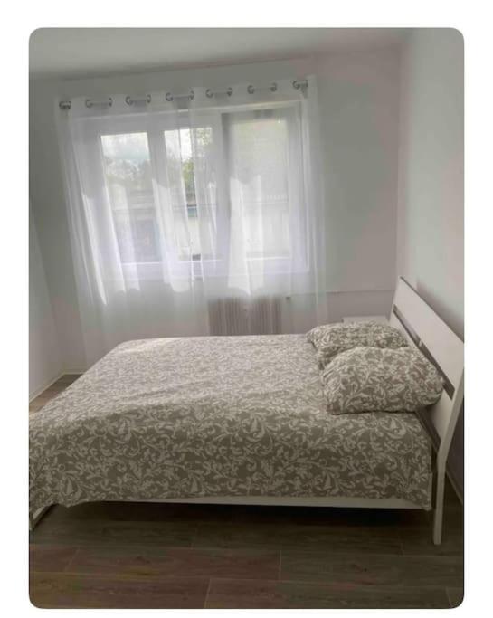 Chaleureux Et Spacieux Sur Cernay Apartment Cernay (Haut-Rhin)
